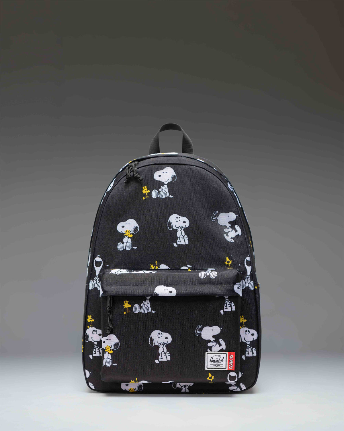 Classic XL Backpack E6