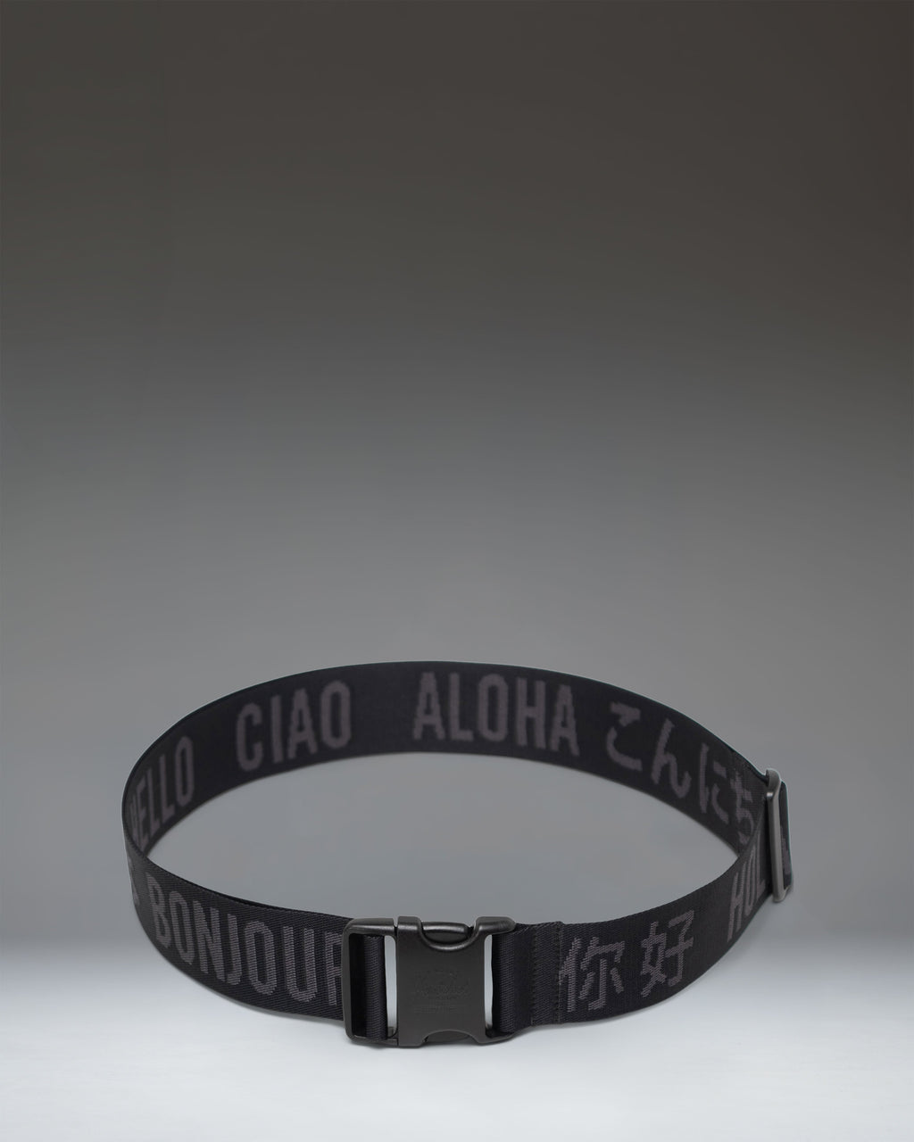 Luggage Belt V4