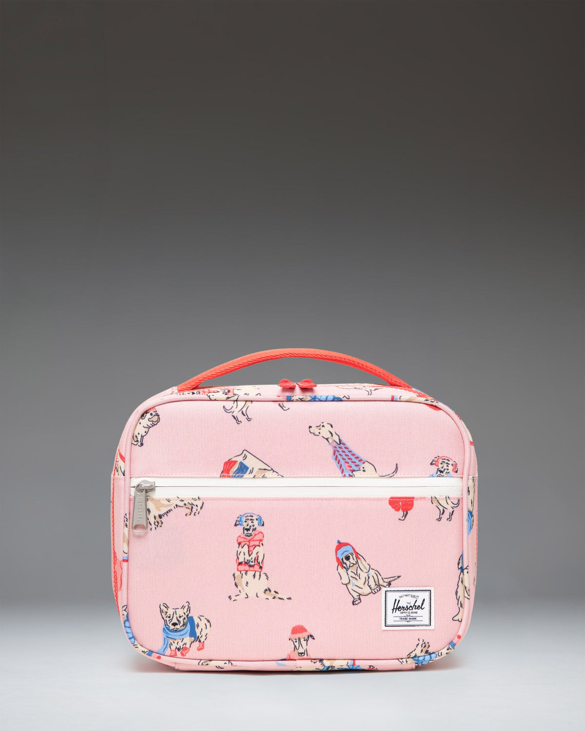 Pop Quiz Lunch Box Little Y3